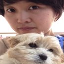 서울아이센터안과의원 데일리벳