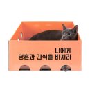 주식회사 리우 이미지