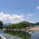 원조안의갈비 삼일식당 이미지