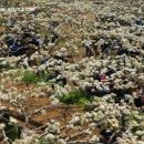 나주배박물관 이미지