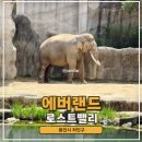 통나무밸리 | 에버랜드 로스트밸리 가격 시간 명당자리 스마트줄서기 큐패스 추천