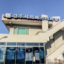 이마트24 R경산서부점 | 경주 시외버스터미널 예매 시간표 시설 짐보관 무료주차장 총정리