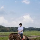 제주관광 승마 네이버블로그