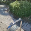 키친인(kitchen´in´) | 오사카&amp;교토 효도여행 2일차(1) - 오사카성 천수각, 다이나믹키친앤바(Dynamic Kitchen&amp;Bar)