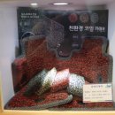 (주)뉴옵틱스 이미지