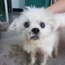 주유나라주유소 이미지