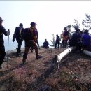 돌산유람선선착장 이미지