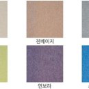 조이피아노 Daum카페