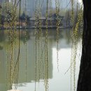 우리의 봄날 이미지