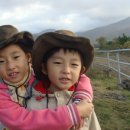 친절한 남매 이미지