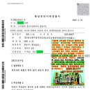 사우디아라비아 미디안반도의 시내산! 사우디 출애굽여정 총정리