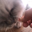 웅양건어물 이미지