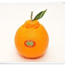 명품농장 이미지