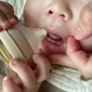 에듀릴잉글리시 | 뚜니 육아일기 ~D+227 : 7개월아기 첫니가 났어요