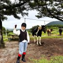 표선리마을회관 | 2024.09.18. [제주 관광 48] 제주 서귀포 일원