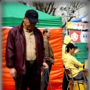 애견스케치 이미지