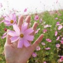 북구청건너 버스정류장 이미지