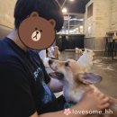 황태자노래연습장 | 2022년 9월 4주차 | 배떡, 펫톡, 미가라멘, 전설의 리틀 농구단, 리히터, 히메카츠, 아메리칸트레이...