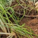 달래농장 이미지