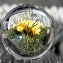 영천 봉림사 영산회상도 및 복장유물 이미지