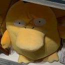 널스메디 | 미국 도시 간호사 생활 91(떠나는 친구들,CICU 쉐도잉, 주지훈 덕질)