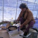 풍악농장 이미지