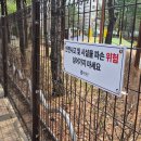 논골어린이공원 네이버블로그