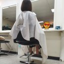 하이야트미용실