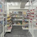 대구 동성로 애니 굿즈샵 겸 가챠샵 하츠네미쿠 쿠지 브라더굿즈 가챠 대구동성로점