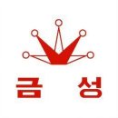 금성전자 이미지