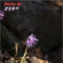 신구대학식물원 이미지