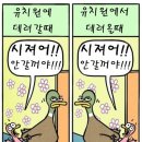 베스트정보 이미지