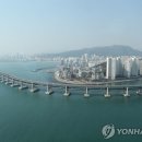 노동법률대교 보배드림 자동차 뉴스