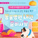 채움동물병원 이미지