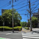 카페블랑(CAFE BLANC) | 후쿠오카 디저트 카페: 카페블랑(Cafe Blanc)방문기