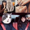 최예슬 카카오 검색결과