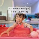 스타PC게임랜드 | 아기랑 가기 좋은 워터파크 추천 TOP3 (대전·천안·세종 근교, 33개월 기준)
