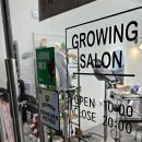 댕이쌀롱 이미지