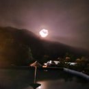 로로포레 이미지