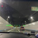 멍멍아 여기어때 이미지