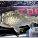 삼인낚시터 이미지