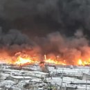 구룡전기 이미지