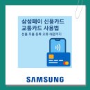 삼성페이 신용카드 교통카드 사용법 선불 후불 등록부터 오류 해결까지