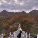 운악산주차장 화장실 | 가평 운악산 출렁다리 등산코스 단풍 명소 후기