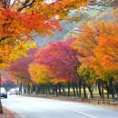 내장풍경펜션 이미지