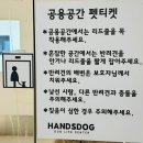 핸즈독 | 유명한 오은영 선생님 트레이닝 훈련 1일차 후기 양산 애견유치원도 가능한 곳 / 핸즈독 트레이닝 센터