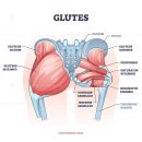 디오필라앤핏 오목교점 이미지
