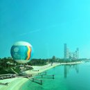 진메디팜 | [UAE/두바이] Day1 / 팜주메이라, 알파히디, 메디니수크, 알시프스타벅스, 금시장, 부르즈칼리파 분수쇼