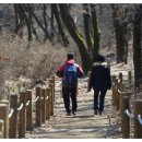 문화부 추천 '봄맞이 전국 걷기여행길 10선' 이미지