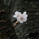 곡성군청 이미지